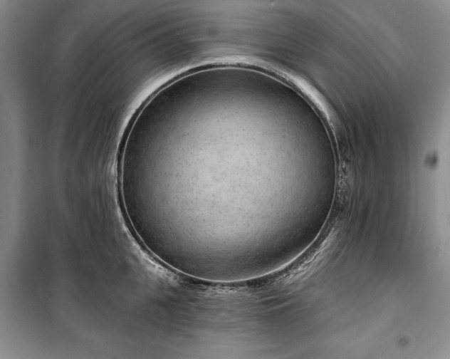 X0000100360951200806131012