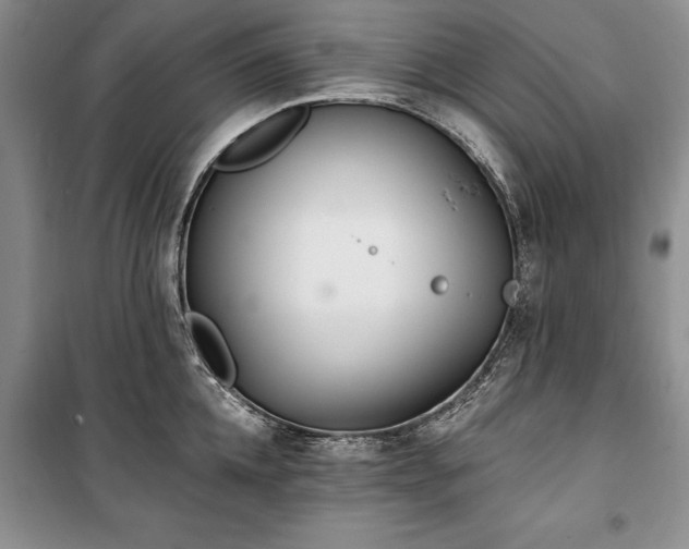 X0000100360952200806131012