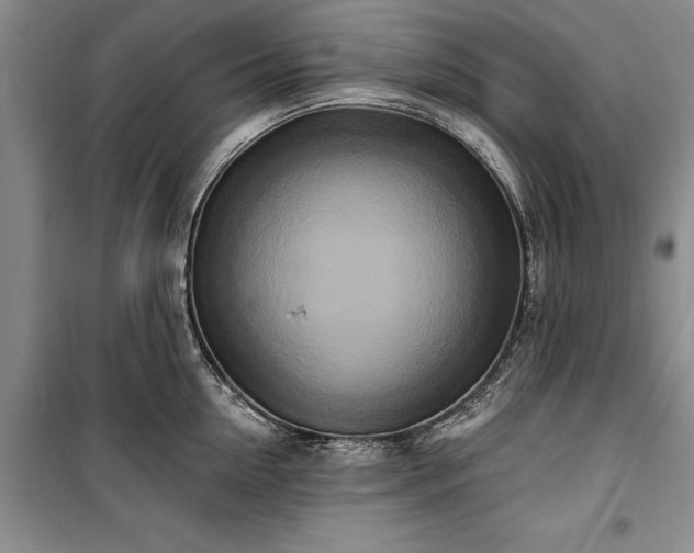 X0000100360954200806131012