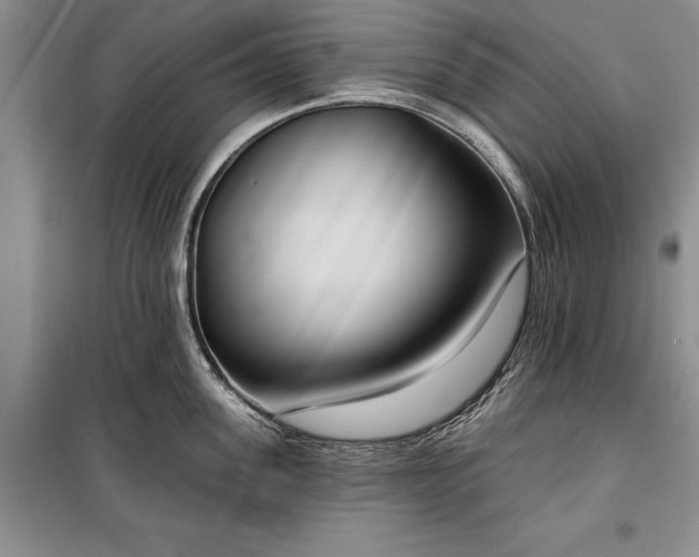 X0000100360955200806131012