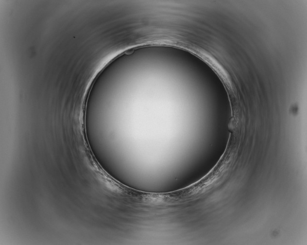 X0000100360956200806131012