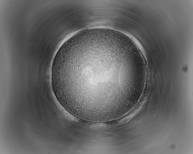 X0000100360957200806131012