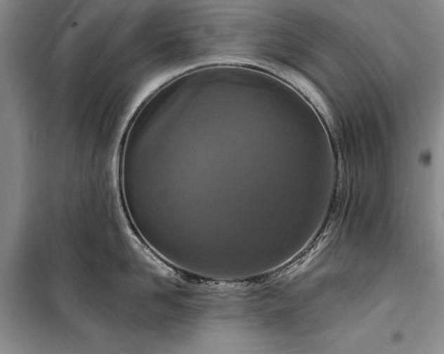 X0000100360958200806131012