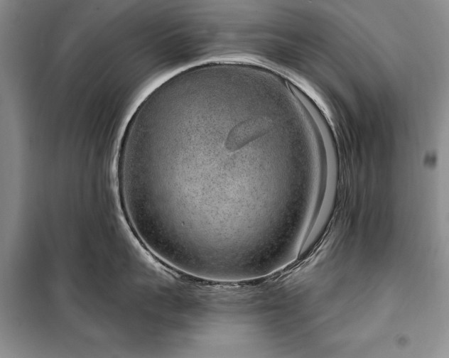 X0000100360959200806131012