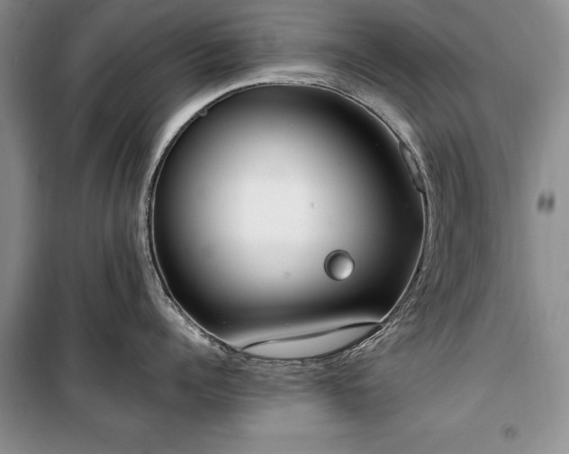 X0000100360960200806131012