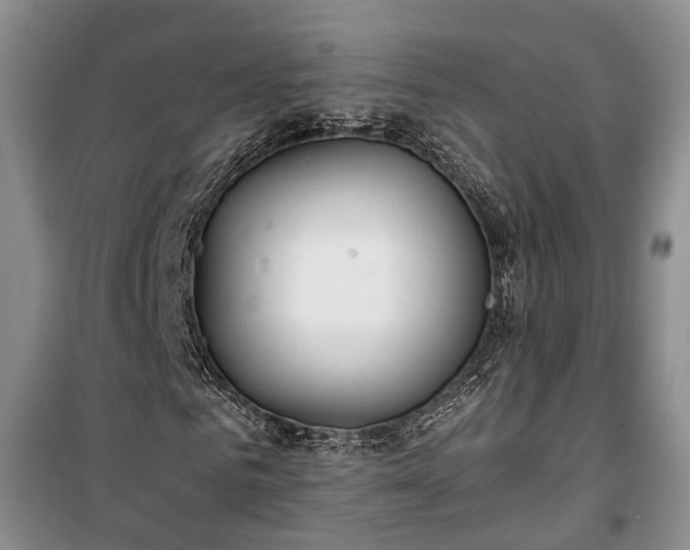 X0000100360961200806131011