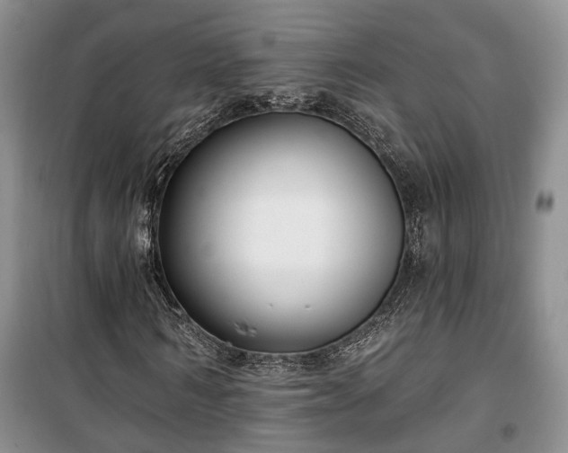 X0000100360962200806131011