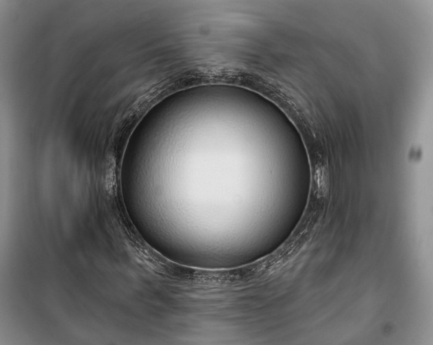 X0000100360963200806131011