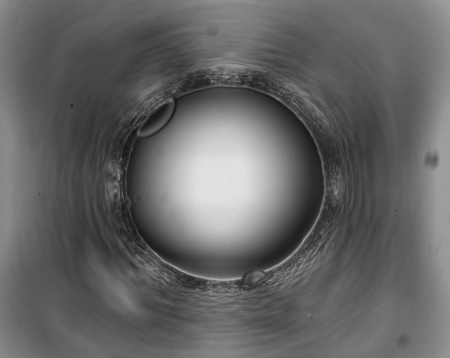 X0000100360964200806131011