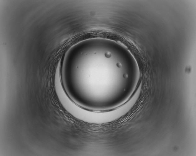 X0000100360965200806131011