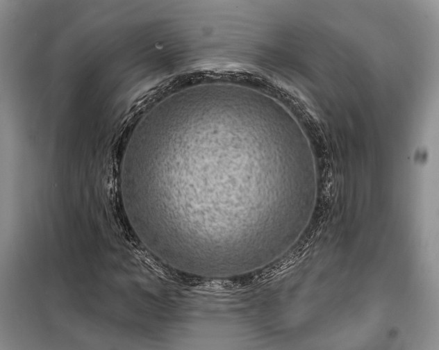 X0000100360966200806131011