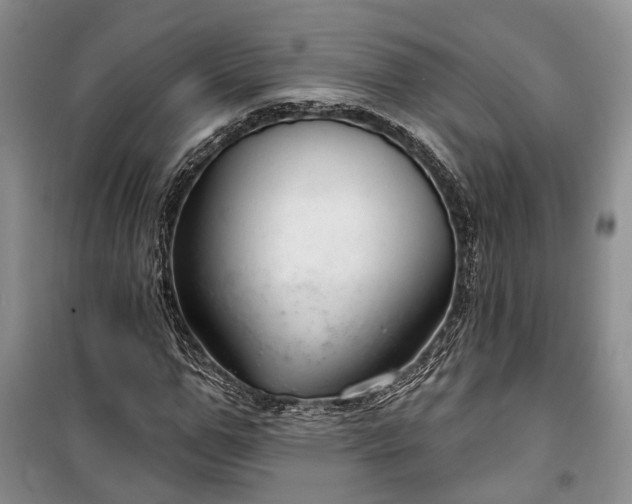 X0000100360967200806131011