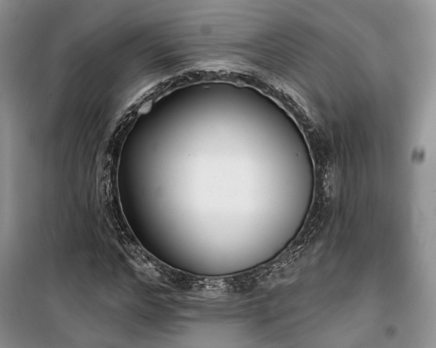 X0000100360968200806131011