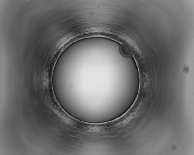 X0000100360969200806131011