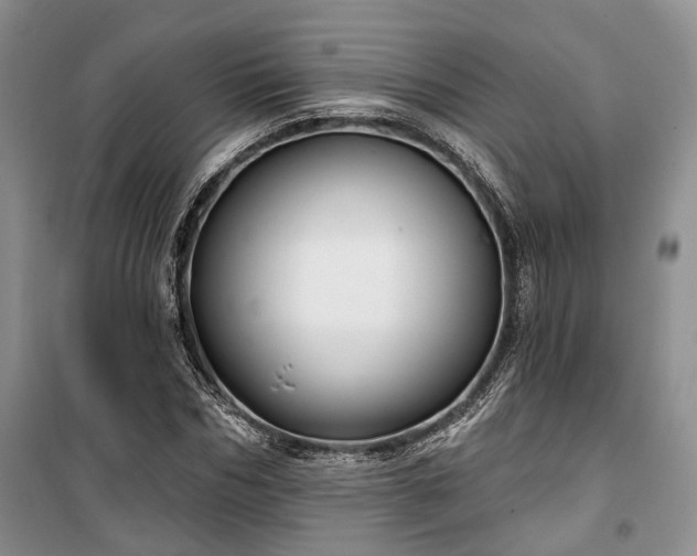 X0000100360970200806131011