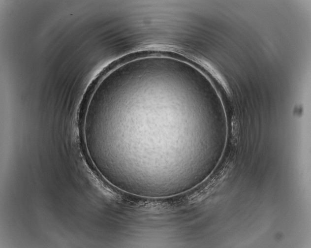 X0000100360972200806131011