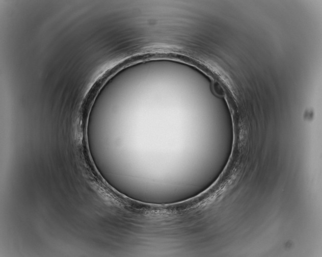 X0000100360973200806131011