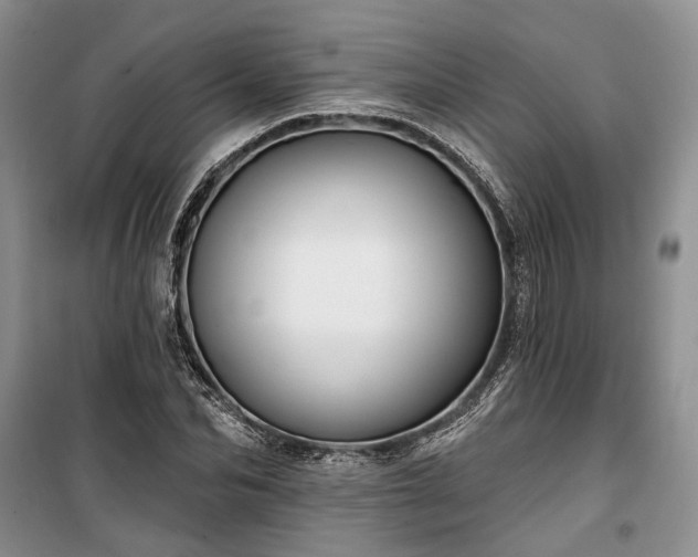 X0000100360974200806131011