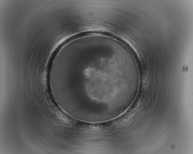 X0000100360975200806131011