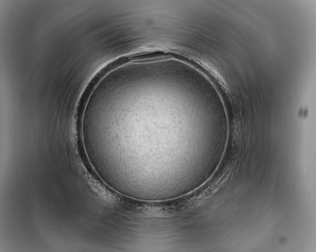 X0000100360976200806131011