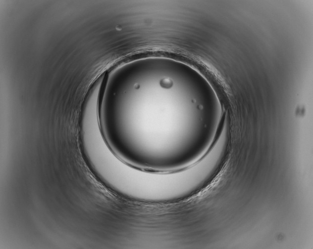 X0000100360977200806131011