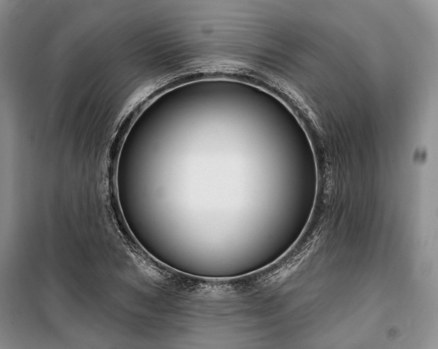 X0000100360978200806131011