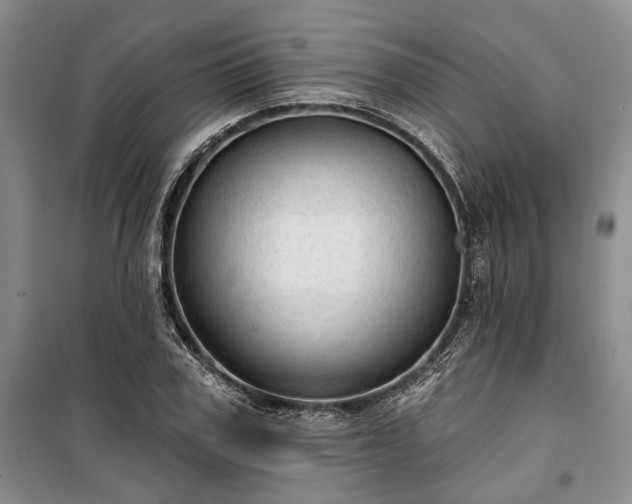 X0000100360979200806131011