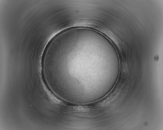 X0000100360980200806131011