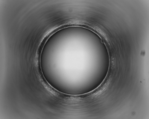 X0000100360981200806131011