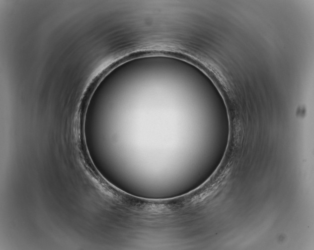 X0000100360982200806131011