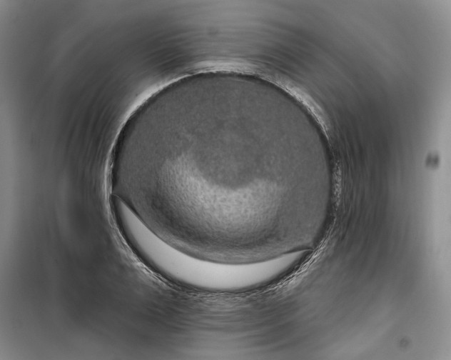 X0000100360983200806131011