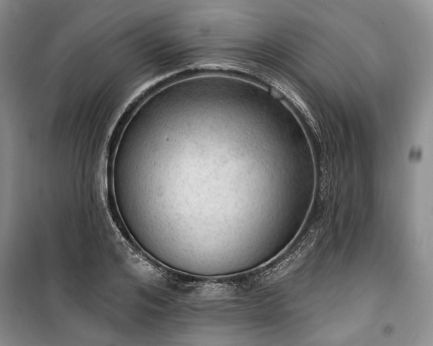 X0000100360984200806131011