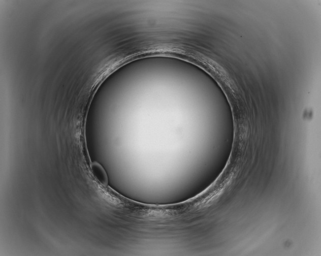 X0000100360985200806131011