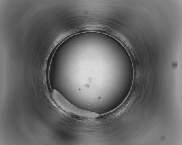 X0000100360986200806131011