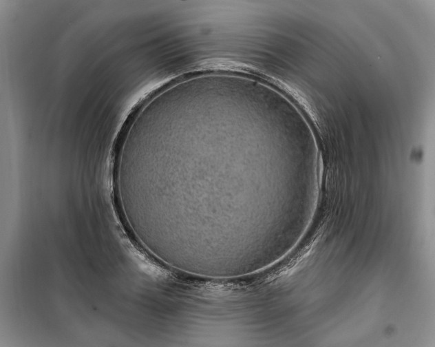 X0000100360987200806131011