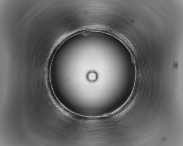 X0000100360989200806131011