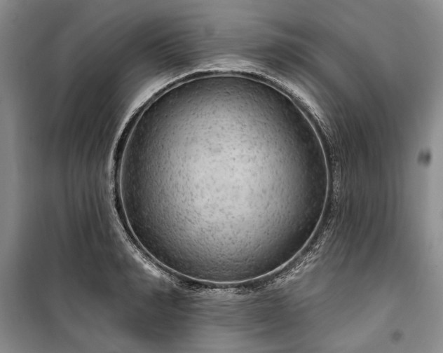 X0000100360990200806131011