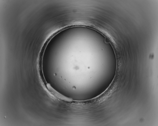 X0000100360991200806131011