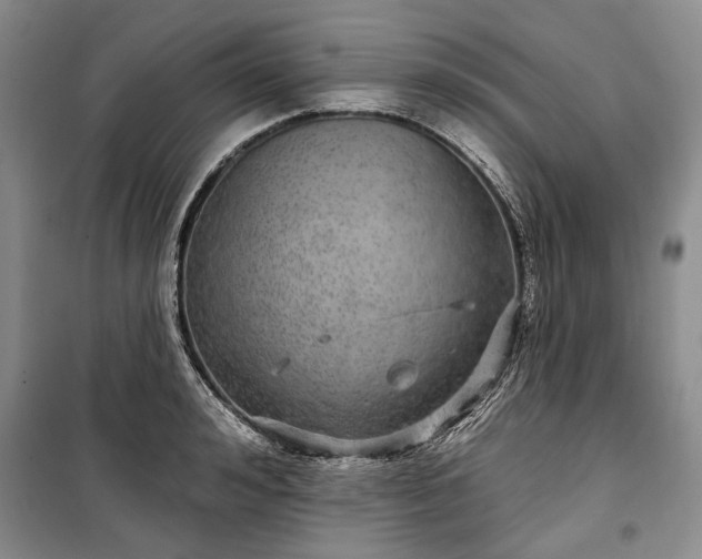 X0000100360992200806131011