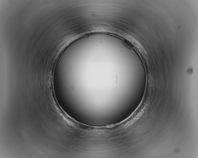 X0000100360993200806131011