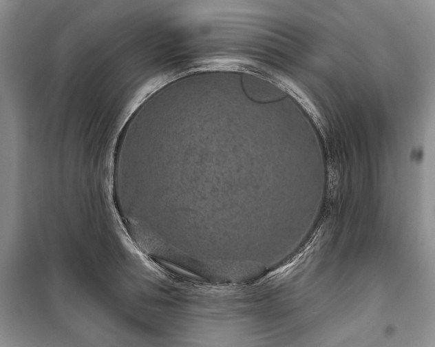 X0000100360994200806131011