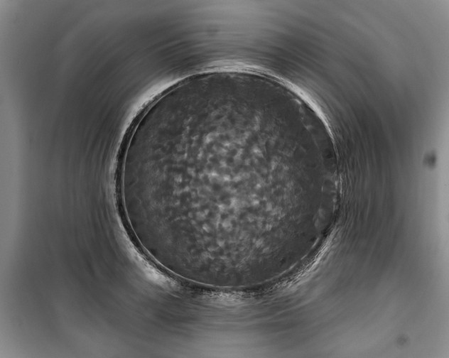 X0000100360995200806131011