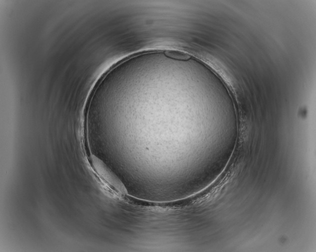 X0000100360996200806131011