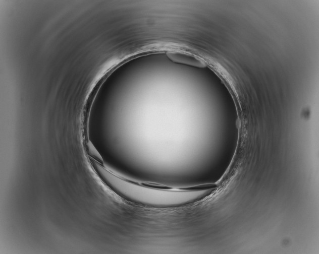 X0000100360997200806131011