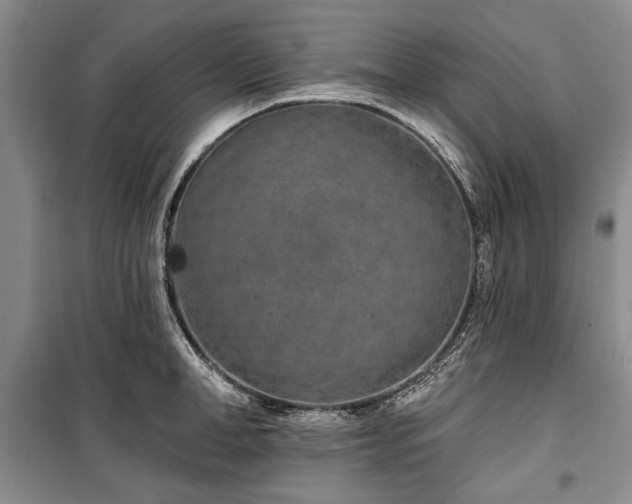 X0000100360998200806131011