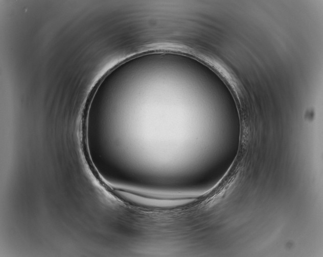 X0000100360999200806131011