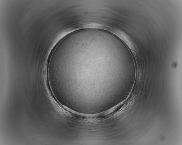 X0000100361000200806131011