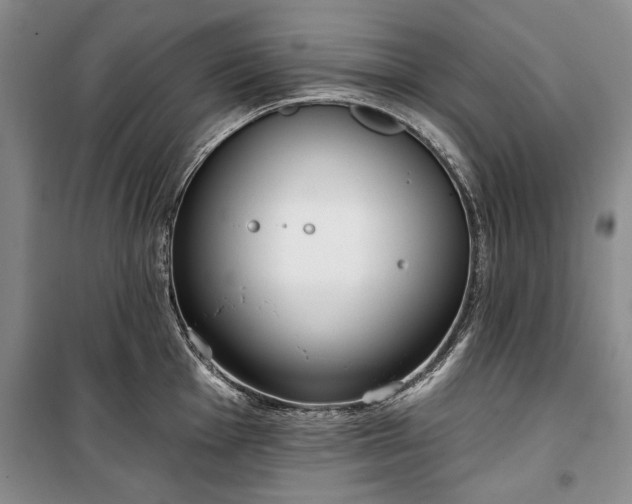 X0000100361001200806131011