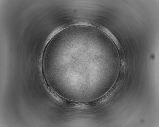 X0000100361002200806131011