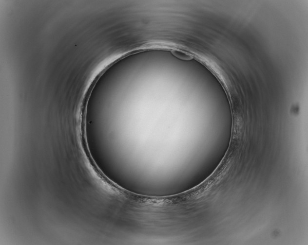 X0000100361003200806131011